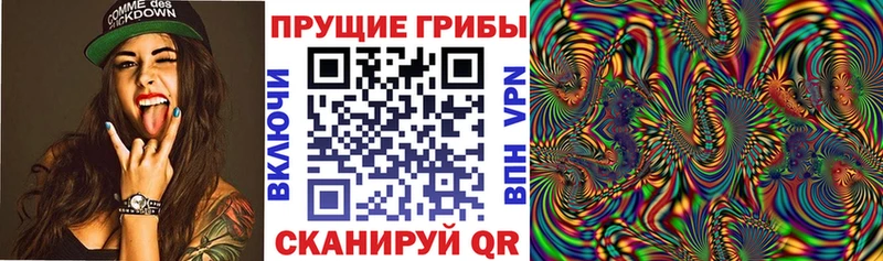 Псилоцибиновые грибы Cubensis Тюкалинск